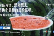 好看的娱乐圈吃瓜文案