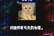 娱乐圈八卦吃瓜文档
